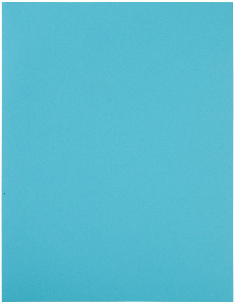 Blue 8 1/2 x 11 Full Sheet Shipping Labels