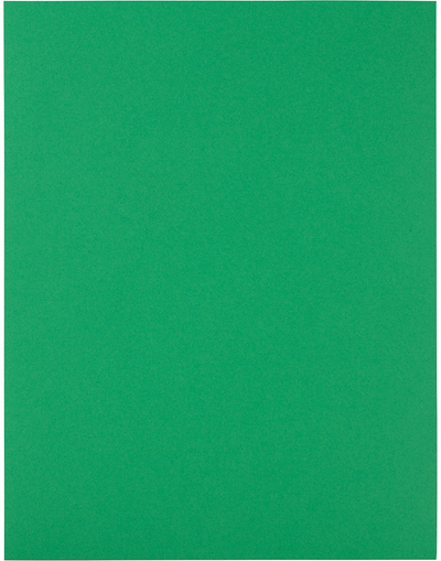 Green 8 1/2 x 11 Full Sheet Shipping Labels