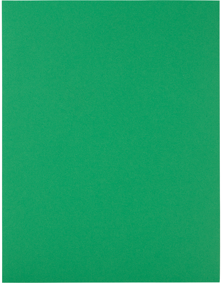 Green 8 1/2 x 11 Full Sheet Shipping Labels