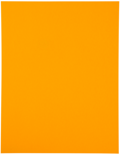 Neon Orange 8 1/2 x 11 Full Sheet Shipping Labels