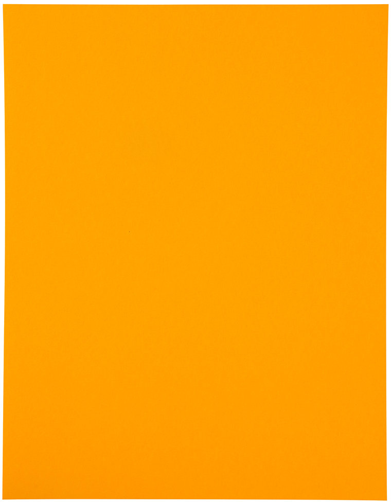 Neon Orange 8 1/2 x 11 Full Sheet Shipping Labels
