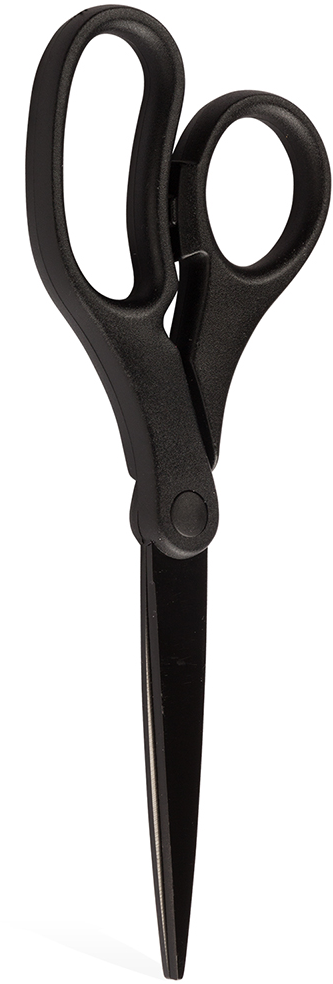 Black Precision Scissors