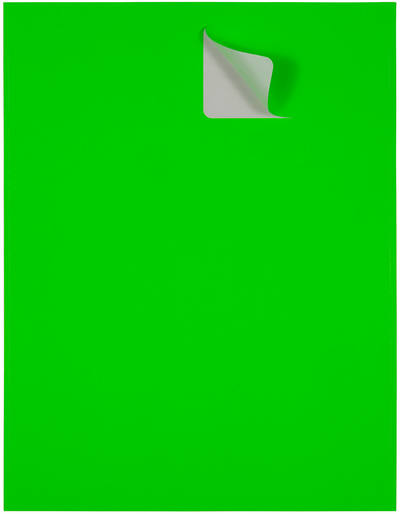 Neon Green 2 x 4 Address Labels