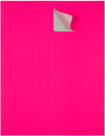 Neon Pink 2 x 4 Address Labels