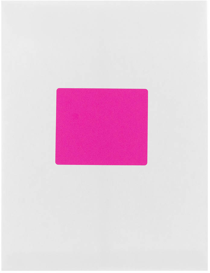 Neon Pink 3 1/3 x 4 Shipping Labels