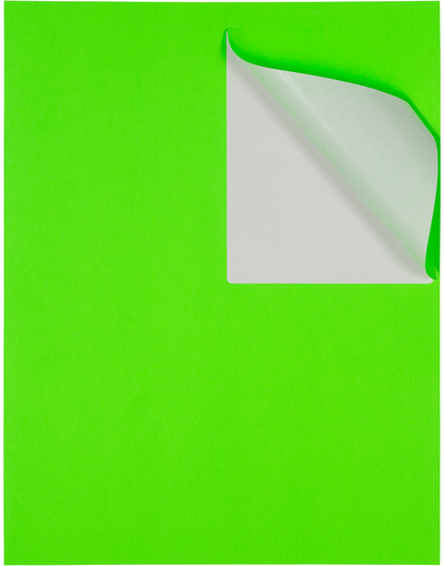 Neon Green 4 x 5 Shipping Labels