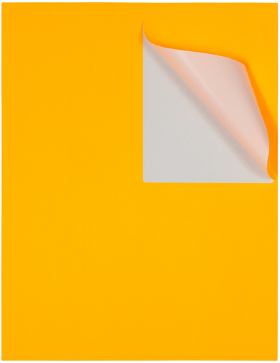 Neon Orange 4 x 5 Shipping Labels