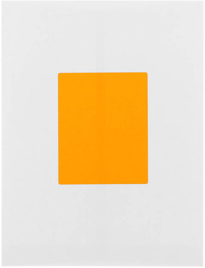 Neon Orange 4 x 5 Shipping Labels