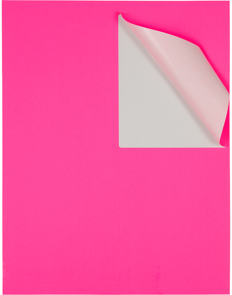 Neon Pink 4 x 5 Shipping Labels