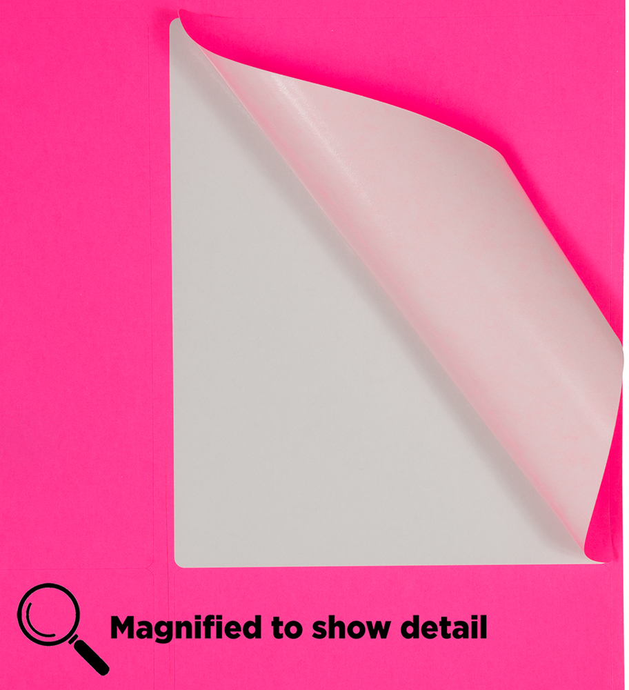 Neon Pink 4 x 5 Shipping Labels