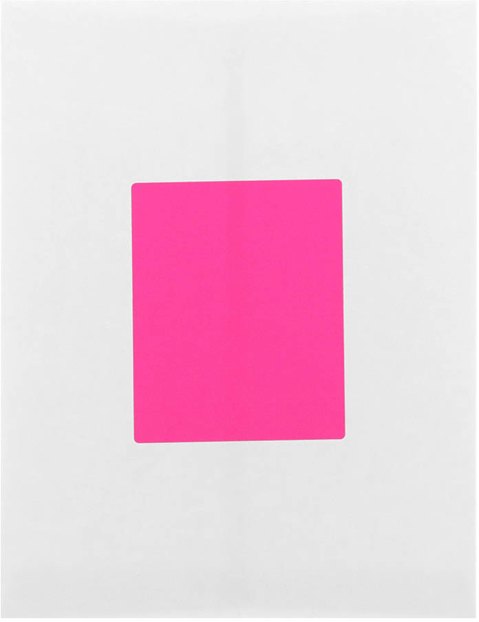 Neon Pink 4 x 5 Shipping Labels