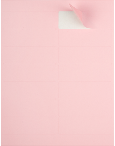 Baby Pink 1 1/3 x 4 Address Labels