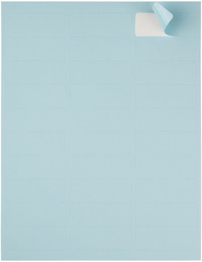 Baby Blue 1 x 2 5/8 Return Address Labels