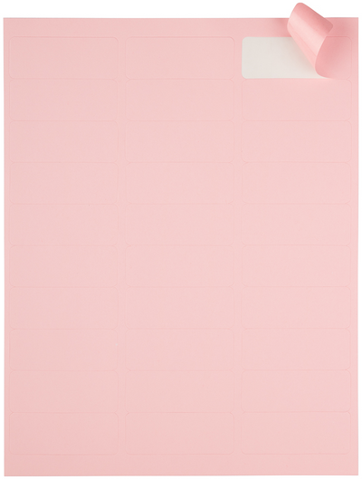 Baby Pink 1 x 2 5/8 Return Address Labels
