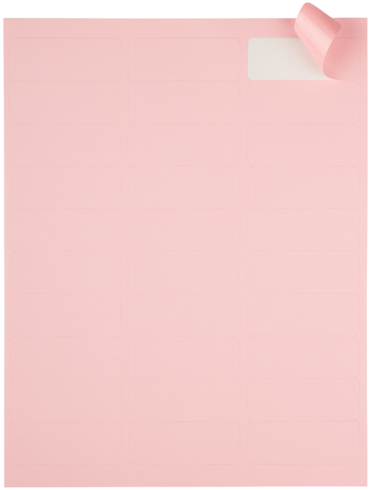 Baby Pink 1 x 2 5/8 Return Address Labels
