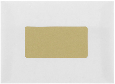 Gold Metallic 2 x 4 Address Labels