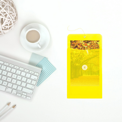Yellow 6 1/4 x 9 1/4 Open End Plastic Envelopes with Button & String