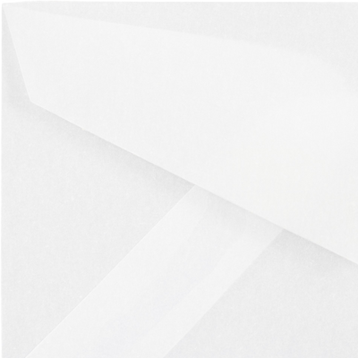 Clear Translucent 28lb 3 Drug 2 5/16 x 3 5/8 Envelopes