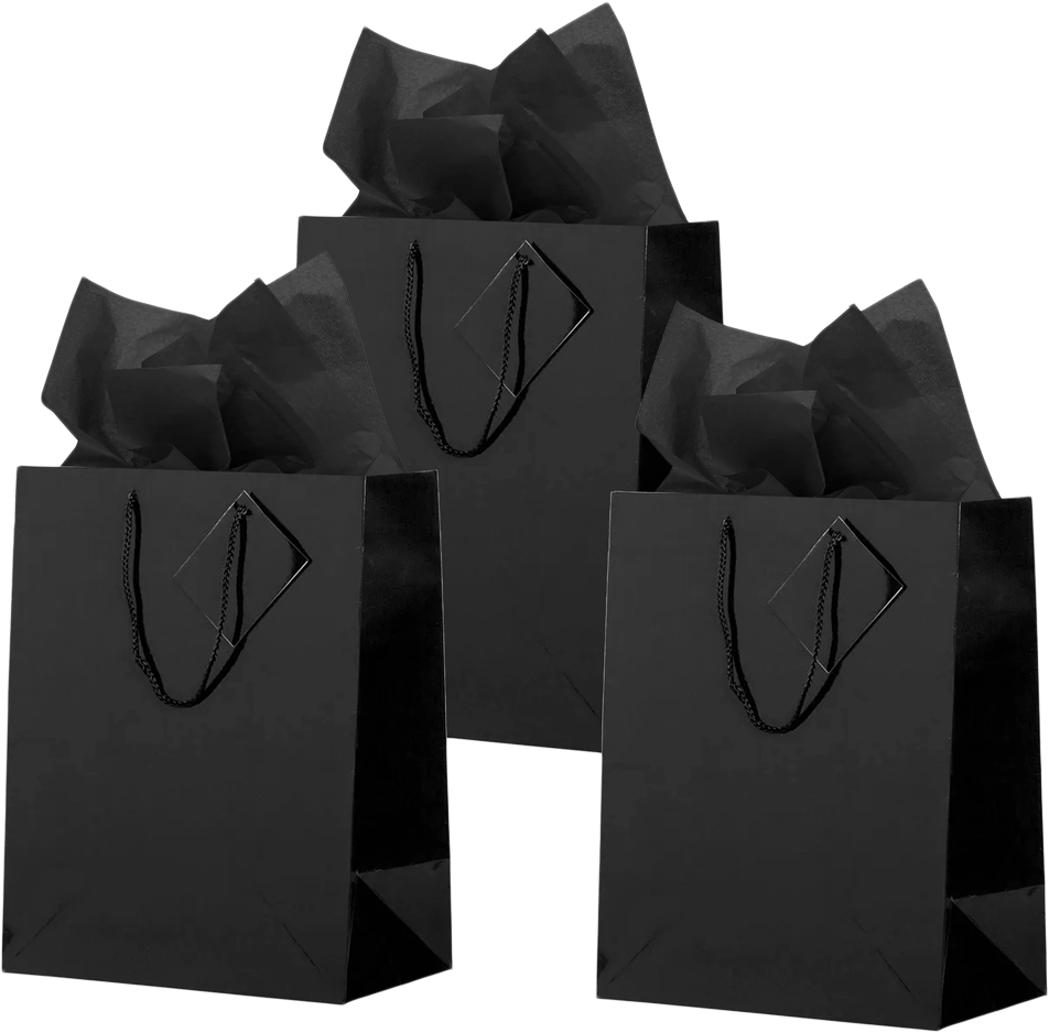 Black Large Glossy Gift Bags (10 x 13 x 5) (3 Pack) with Tissue Paper (10 Pack)