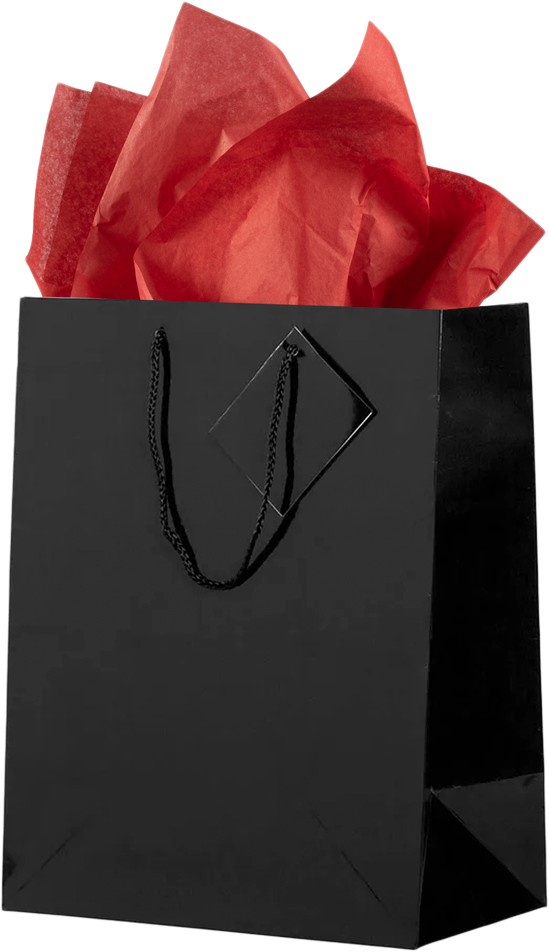 Black/Red Large Glossy Gift Bags (10 x 13 x 5) (3 Pack) with Tissue Paper (10 Pack)