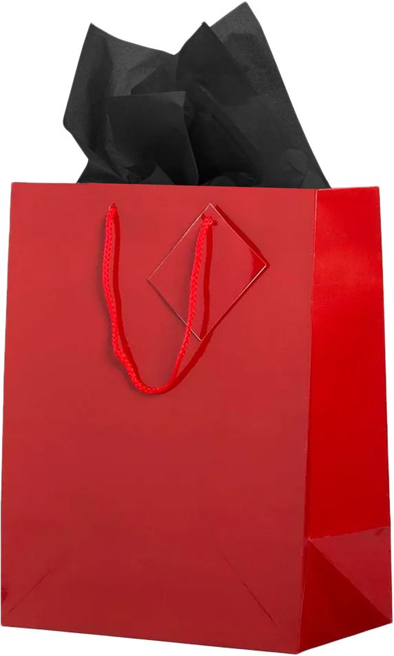 Red/Black Large Glossy Gift Bags (10 x 13 x 5) (3 Pack) with Tissue Paper (10 Pack)