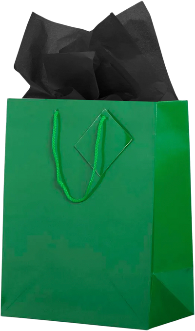 Green/Black Large Glossy Gift Bags (10 x 13 x 5) (3 Pack) with Tissue Paper (10 Pack)