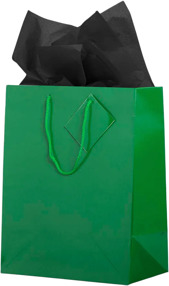 Green/Black Large Glossy Gift Bags (10 x 13 x 5) (3 Pack) with Tissue Paper (10 Pack)