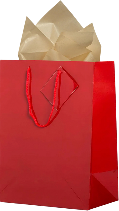 Red/Gold Large Glossy Gift Bags (10 x 13 x 5) (3 Pack) with Tissue Paper (10 Pack)