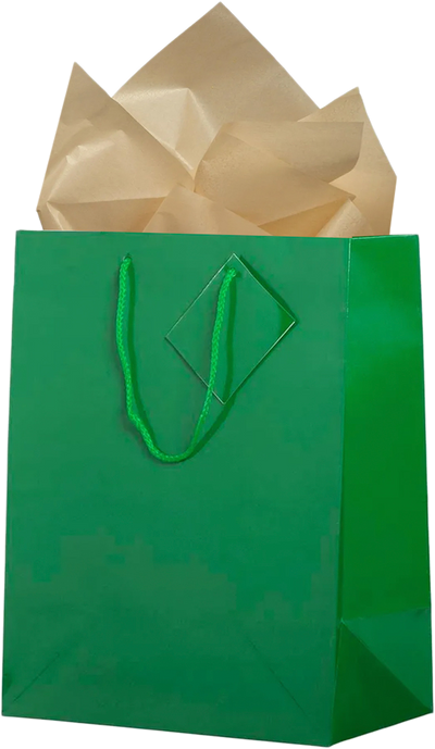 Green/Gold Large Glossy Gift Bags (10 x 13 x 5) (3 Pack) with Tissue Paper (10 Pack)