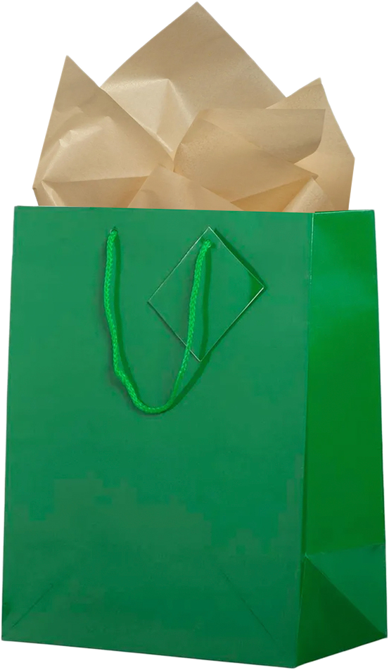 Green/Gold Large Glossy Gift Bags (10 x 13 x 5) (3 Pack) with Tissue Paper (10 Pack)