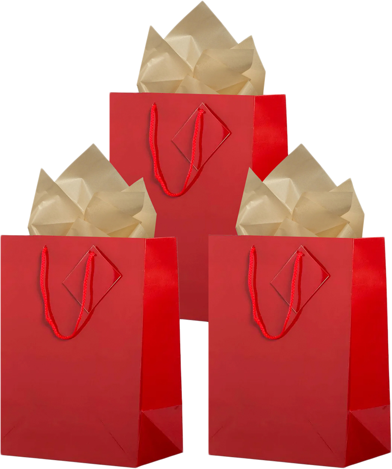 Red/Gold Large Glossy Gift Bags (10 x 13 x 5) (3 Pack) with Tissue Paper (10 Pack)