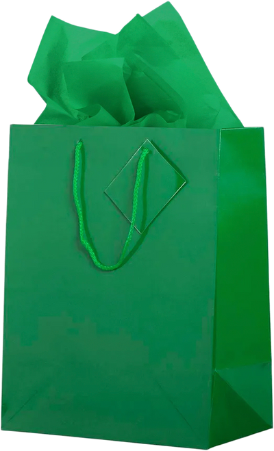 Green Large Glossy Gift Bags (10 x 13 x 5) (3 Pack) with Tissue Paper (10 Pack)