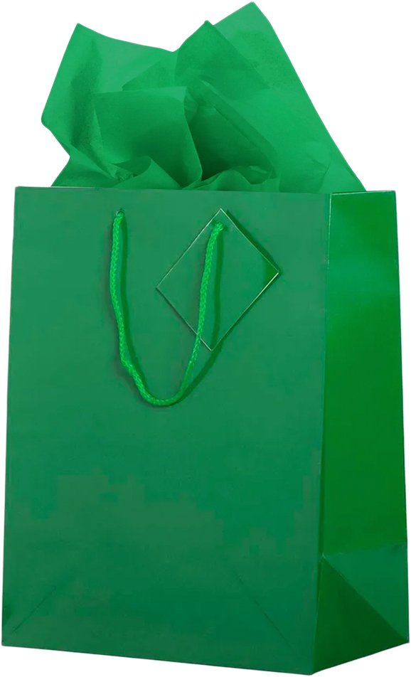 Green Large Glossy Gift Bags (10 x 13 x 5) (3 Pack) with Tissue Paper (10 Pack)