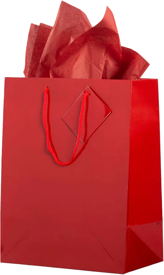 Red Large Glossy Gift Bags (10 x 13 x 5) (3 Pack) with Tissue Paper (10 Pack)