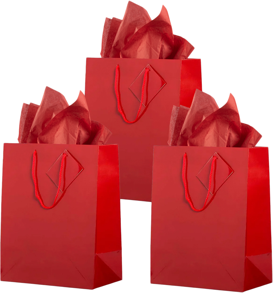 Red Large Glossy Gift Bags (10 x 13 x 5) (3 Pack) with Tissue Paper (10 Pack)