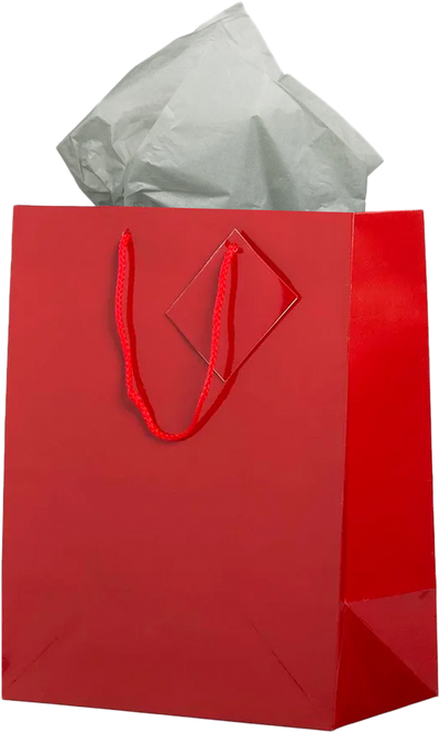 Red/Gray Large Glossy Gift Bags (10 x 13 x 5) (3 Pack) with Tissue Paper (10 Pack)