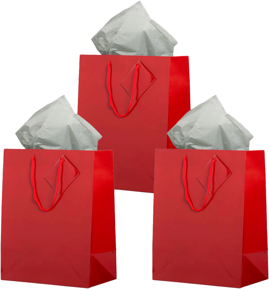 Red/Gray Large Glossy Gift Bags (10 x 13 x 5) (3 Pack) with Tissue Paper (10 Pack)