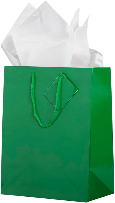 Green/White Large Glossy Gift Bags (10 x 13 x 5) (3 Pack) with Tissue Paper (10 Pack)