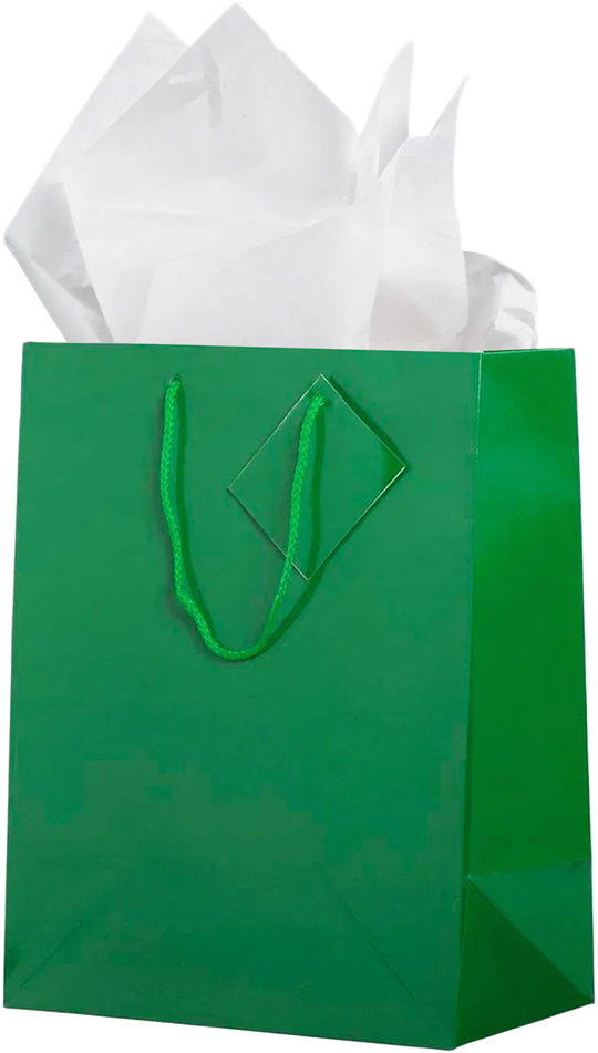 Green/White Large Glossy Gift Bags (10 x 13 x 5) (3 Pack) with Tissue Paper (10 Pack)