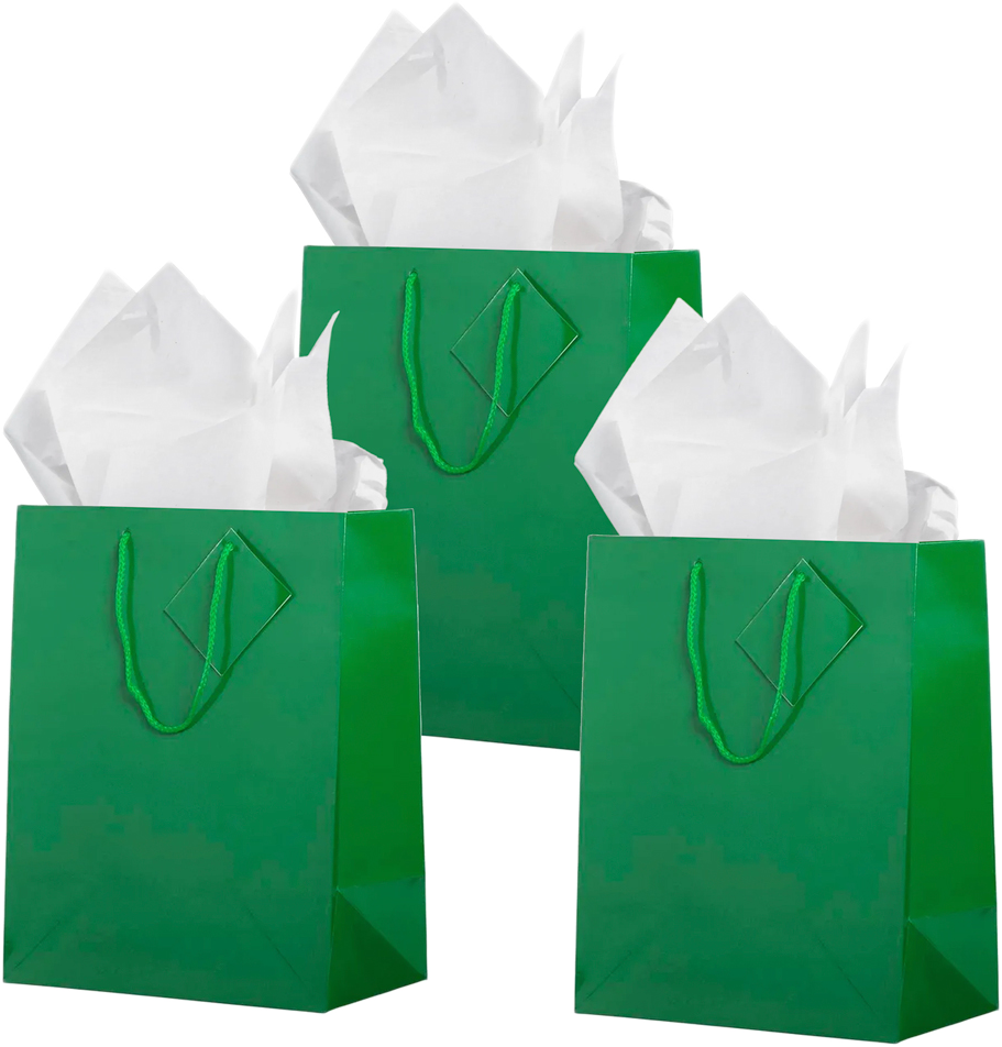 Green/White Large Glossy Gift Bags (10 x 13 x 5) (3 Pack) with Tissue Paper (10 Pack)