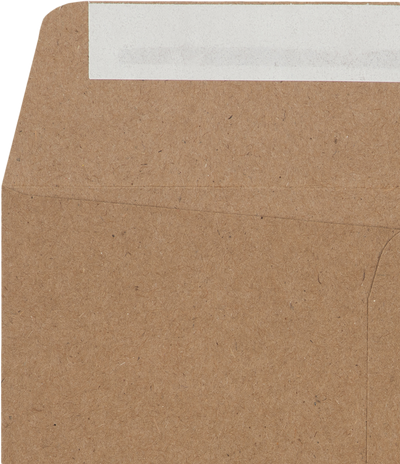 Grocery Bag 28lb 6 1/2 x 9 1/2 Open End Envelopes with Peel & Seal