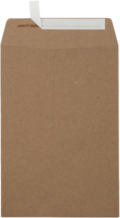 Grocery Bag 28lb 6 1/2 x 9 1/2 Open End Envelopes with Peel & Seal