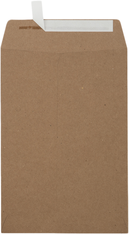 Grocery Bag 28lb 6 1/2 x 9 1/2 Open End Envelopes with Peel & Seal