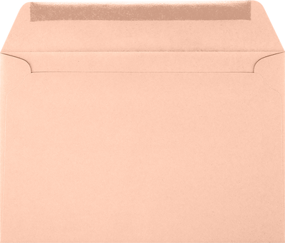 Blush Pink 32lb 6 x 9 Booklet Envelopes