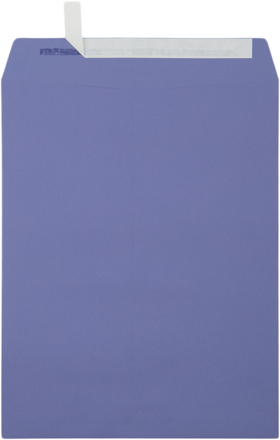 Wisteria Purple 32lb 10 x 13 Open End Envelopes with Peel & Seal