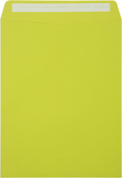Wasabi Lime Green 32lb 10 x 13 Open End Envelopes with Peel & Seal