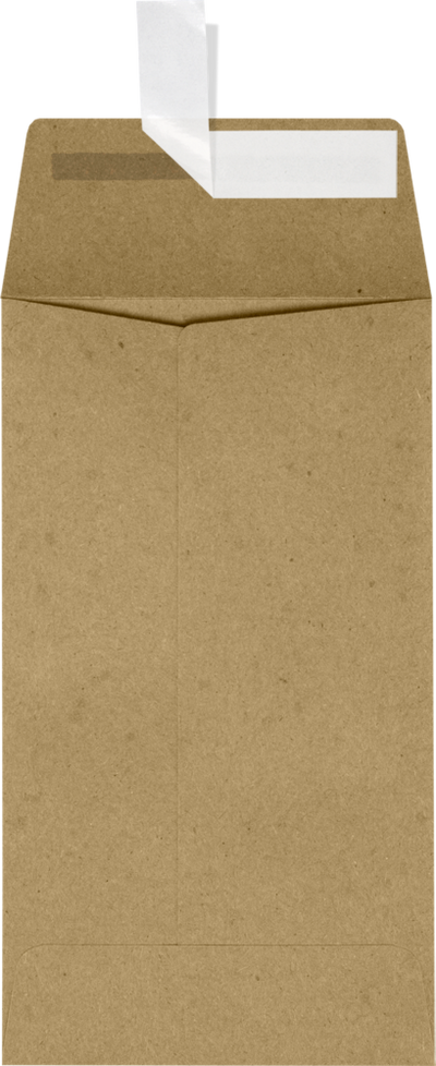 Grocery Bag 28lb #5 1/2 Coin Envelopes (3 1/8 x 5 1/2) with Peel & Seal