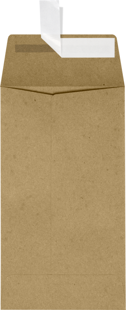 Grocery Bag 28lb #5 1/2 Coin Envelopes (3 1/8 x 5 1/2) with Peel & Seal