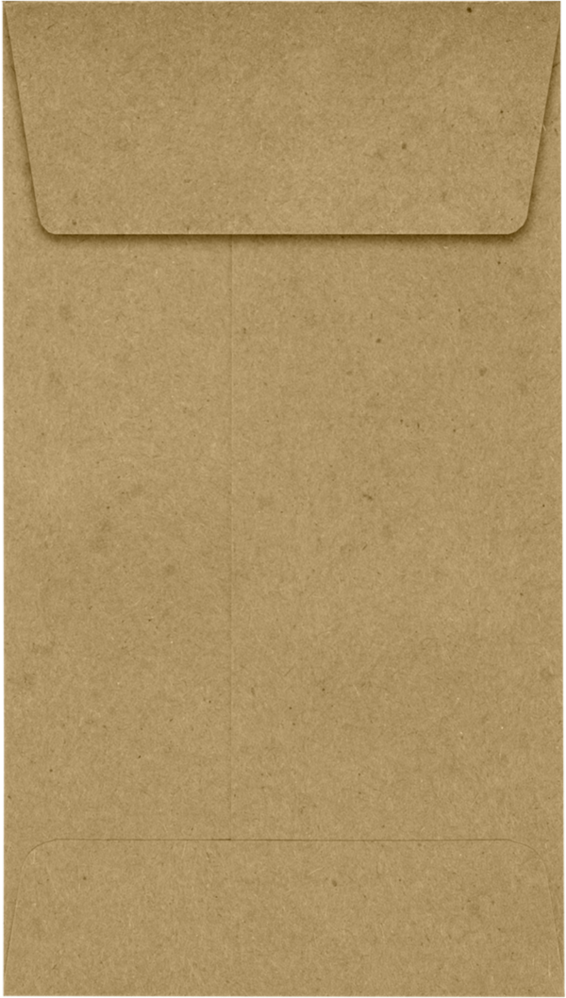 Grocery Bag 28lb #5 1/2 Coin Envelopes (3 1/8 x 5 1/2) with Peel & Seal