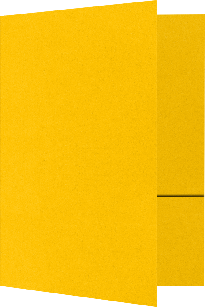 Sunflower Yellow 9 x 12 Matte Folders